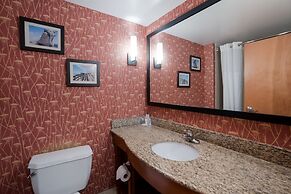 Comfort Suites Suffolk - Chesapeake