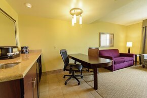 Embassy Suites by Hilton Minneapolis North