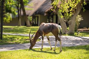 Mokuti Etosha