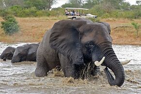 Jabulani Safari