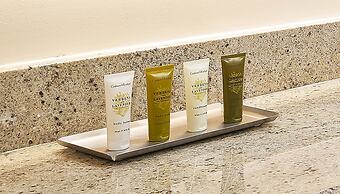 Hilton Grand Vacations Club Parc Soleil Orlando