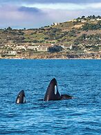 Terranea Resort
