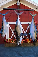 Stormy Point Village Resort