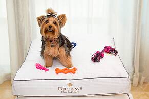 Dreams Jade Resort & Spa - All Inclusive