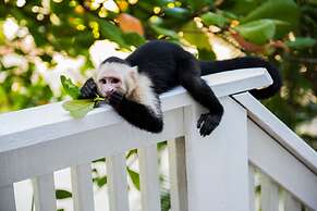 Fantasy Island Beach Resort, Dive and Marina All Inclusive