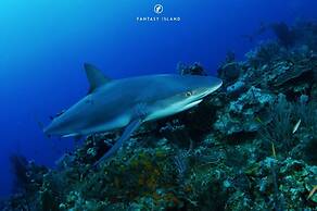 Fantasy Island Beach Resort, Dive and Marina All Inclusive