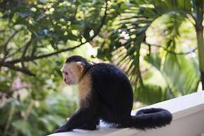 Fantasy Island Beach Resort, Dive and Marina All Inclusive