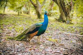 Fantasy Island Beach Resort, Dive and Marina All Inclusive