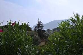 Appartamenti Elbamar Lacona