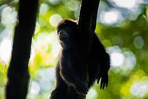 Hotel Villa Mercedes Palenque