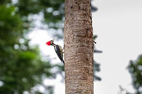 Hotel Villa Mercedes Palenque