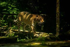 Hotel Villa Mercedes Palenque