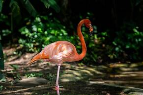 Hotel Villa Mercedes Palenque
