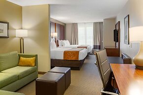 Comfort Suites Lancaster Amish Country