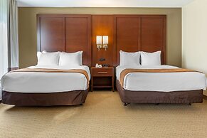 Comfort Suites Lancaster Amish Country