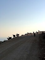 Achlada - Mourtzanakis Residence