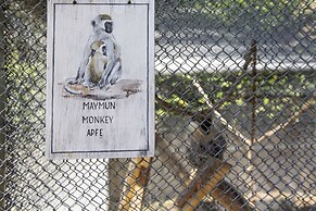 Alba Resort Hotel - Ultra All Inclusive