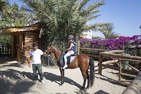 Alba Resort Hotel - Ultra All Inclusive