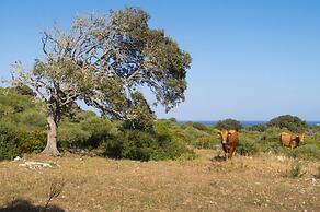 Hotel Rusticae Alcaufar Vell