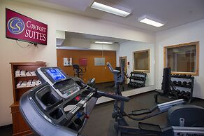 Comfort Suites Anchorage International Airport