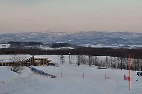 Niseko Freedom Inn