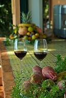 Hotel Villa Belvedere