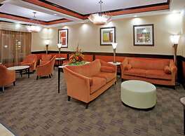 Comfort Inn & Suites Dallas Medical - Market Center