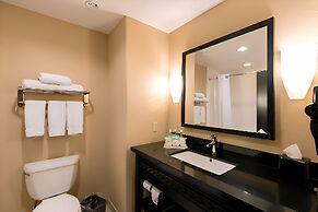 Comfort Inn & Suites Dallas Medical - Market Center