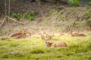 Katiliya Mountain Resort & Spa