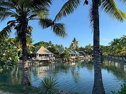 Musket Cove Island Resort & Marina