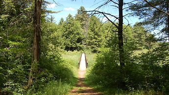 Holiday Inn Express & Suites Kingston Central by IHG