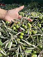 Hospedería Bajo el Cejo