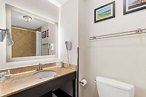 Comfort Inn & Suites Near Lake Lewisville