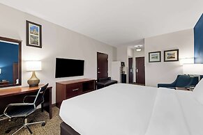 Comfort Inn & Suites Near Lake Lewisville