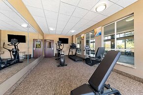 Comfort Inn & Suites Near Lake Lewisville