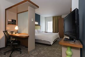 SpringHill Suites by Marriott Charlotte Ballantyne