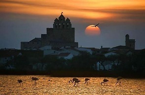 Hôtel Les Palmiers en Camargue