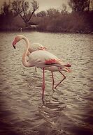 L'Auberge Camarguaise