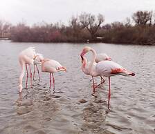 L'Auberge Camarguaise