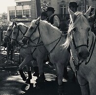 L'Auberge Camarguaise