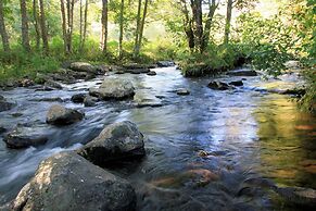 Les Rives de l'Arzon