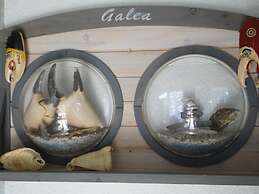 Auberge du Petit Matelot