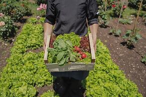 Mirabell Alpine Garden Resort