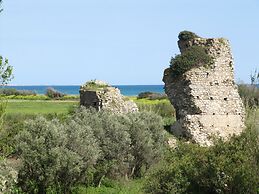 Agriturismo Torre Del Golfo