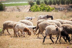 Tenuta del Barco WineRestaurant and Hospitality