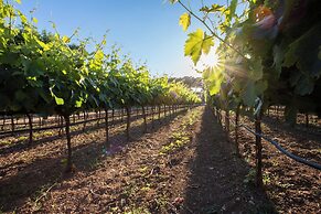 Tenuta del Barco WineRestaurant and Hospitality