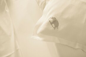 Hotel Elephant