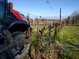 AgriHotel Villa Ambra