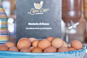 Albergo Diffuso Bacco Furore