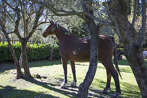 Fattoria il Milione Agriturismo